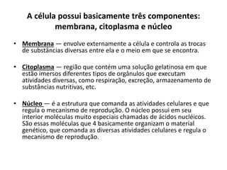 A célula possui basicamente três componentes:
membrana, citoplasma e núcleo
• Membrana — envolve externamente a célula e controla as trocas
de substâncias diversas entre ela e o meio em que se encontra.
• Citoplasma — região que contém uma solução gelatinosa em que
estão imersos diferentes tipos de orgânulos que executam
atividades diversas, como respiração, excreção, armazenamento de
substâncias nutritivas, etc.
• Núcleo — é a estrutura que comanda as atividades celulares e que
regula o mecanismo de reprodução. O núcleo possui em seu
interior moléculas muito especiais chamadas de ácidos nucléicos.
São essas moléculas que 4 basicamente organizam o material
genético, que comanda as diversas atividades celulares e regula o
mecanismo de reprodução.
 