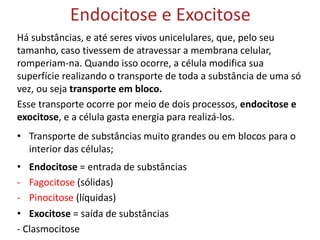 Endocitose e Exocitose
Há substâncias, e até seres vivos unicelulares, que, pelo seu
tamanho, caso tivessem de atravessar a membrana celular,
romperiam-na. Quando isso ocorre, a célula modifica sua
superfície realizando o transporte de toda a substância de uma só
vez, ou seja transporte em bloco.
Esse transporte ocorre por meio de dois processos, endocitose e
exocitose, e a célula gasta energia para realizá-los.
• Transporte de substâncias muito grandes ou em blocos para o
interior das células;
• Endocitose = entrada de substâncias
- Fagocitose (sólidas)
- Pinocitose (líquidas)
• Exocitose = saída de substâncias
- Clasmocitose
 