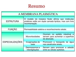 A MEMBRANA PLASMÁTICA
ESTRUTURA
O modelo do mosaico fluido afirma que moléculas
protéicas estão em dupla camada lipídica, mas com livre
movimentação.
FUNÇÃO Permeabilidade seletiva e reconhecimento celular.
ESPECIALIZAÇÕES
Microvilosidades
Ocorrem no epitélio intestinal e
servem para aumentar a superfície
de absorção.
Invaginações de
base
Promovem o transporte de água
nos canalículos renais.
Desmossomos e
interdigitações
Servem para promover a adesão
entre as células epiteliais.
Resumo
 
