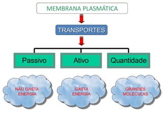 NÃO GASTA
ENERGIA
GRANDES
MOLÉCULAS
GASTA
ENERGIA
TRANSPORTES
Passivo Ativo Quantidade
MEMBRANA PLASMÁTICA
 