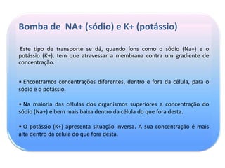Bomba de NA+ (sódio) e K+ (potássio)
Este tipo de transporte se dá, quando íons como o sódio (Na+) e o
potássio (K+), tem que atravessar a membrana contra um gradiente de
concentração.
• Encontramos concentrações diferentes, dentro e fora da célula, para o
sódio e o potássio.
• Na maioria das células dos organismos superiores a concentração do
sódio (Na+) é bem mais baixa dentro da célula do que fora desta.
• O potássio (K+) apresenta situação inversa. A sua concentração é mais
alta dentro da célula do que fora desta.
 