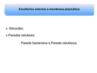 Envoltórios externos à membrana plasmática:
 Glicocálix;
 Paredes celulares:
Parede bacteriana e Parede celulósica
 