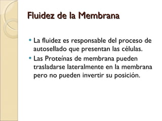 Fluidez de la Membrana La fluidez es responsable del proceso de autosellado que presentan las células. Las Proteínas de membrana pueden trasladarse lateralmente en la membrana pero no pueden invertir su posición. 