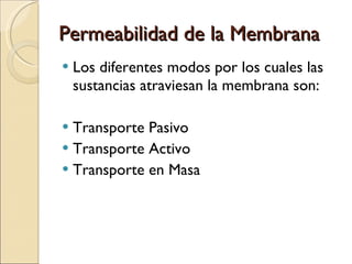 Permeabilidad de la Membrana Los diferentes modos por los cuales las sustancias atraviesan la membrana son: Transporte Pasivo Transporte Activo Transporte en Masa 