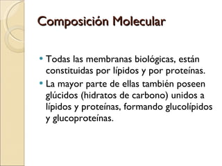 Composición Molecular Todas las membranas biológicas, están constituidas por lípidos y por proteínas. La mayor parte de ellas también poseen glúcidos (hidratos de carbono) unidos a lípidos y proteínas, formando glucolípidos y glucoproteínas. 