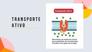 T R A N S P O R T E
a t i v o
 