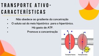 T R A N S P O R T E a t i v o -
c a r a c t e r í s t i c a s
Não obedece ao gradiente da concetração
O soluto sai do meio hipotônico para o hipertônico.
Há gasto de ATP.
Promove a concentração
 