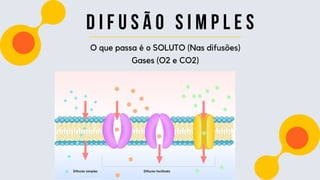 d i f u s ã o s i m p l e s
O que passa é o SOLUTO (Nas difusões)
Gases (O2 e CO2)
 