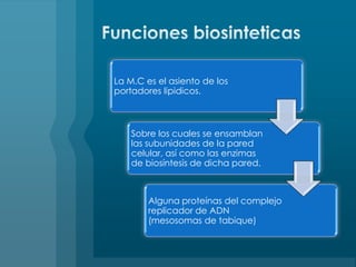 Funciones biosinteticas