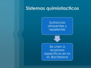 Sistemas quimiotacticos