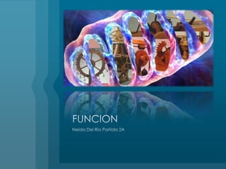 FUNCIONNeida Del Rio Partida 2A