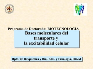 Programa de Doctorado: BIOTECNOLOGÍA Bases moleculares del transporte y  la excitabilidad celular Dpto. de Bioquímica y Biol. Mol. y Fisiología, IBGM 