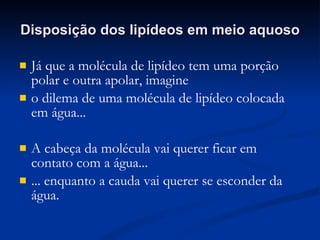 Disposição dos lipídeos em meio aquoso Já que a molécula de lipídeo tem uma porção polar e outra apolar, imagine o dilema de uma molécula de lipídeo colocada em água... A cabeça da molécula vai querer ficar em contato com a água... ... enquanto a cauda vai querer se esconder da água. 