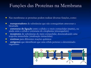 Funções das Proteínas na Membrana Nas membranas as proteínas podem realizar diversas funções, como: transportadores  de substâncias que não conseguiriam atravessar a bicamada estruturas de ligação  entre a célula e o meio extracelular (matriz), ou ainda entre a célula e estruturas do citoplasma (citoesqueleto) receptores  de substâncias do meio extracelular, desencadeando uma resposta intracelular (sinalização intracelular) enzimas  para diferentes reações químicas antígenos  que identificam que uma célula pertence a determinado organismo  