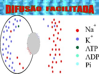 DIFUSÃO  FACILITADA 