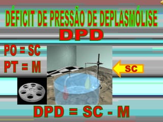 DPD = SC - M DÉFICIT DE PRESSÃO DE DEPLASMÓLISE DPD SC PO = SC PT = M M 