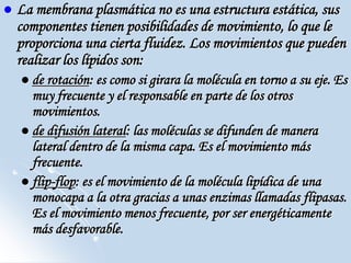  La membrana plasmática no es una estructura estática, sus
componentes tienen posibilidades de movimiento, lo que le
proporciona una cierta fluidez. Los movimientos que pueden
realizar los lípidos son:
 de rotación: es como si girara la molécula en torno a su eje. Es
muy frecuente y el responsable en parte de los otros
movimientos.
 de difusión lateral: las moléculas se difunden de manera
lateral dentro de la misma capa. Es el movimiento más
frecuente.
 flip-flop: es el movimiento de la molécula lipídica de una
monocapa a la otra gracias a unas enzimas llamadas flipasas.
Es el movimiento menos frecuente, por ser energéticamente
más desfavorable.
 