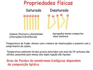 Agregados menos compactos
mais instáveis
Cadeias flexíveis e distendidas
(interações hidrofóbicas)
Temperatura de fusão: diminui com o número de insaturações e aumenta com o
comprimento da cadeia.
Temperatura ambiente ácidos graxos saturados com mais de 14 carbonos são
sólidos, possuíndo pelo menos uma dupla ligação são líquidos.
Grau de fluidez de membranas biológicas dependem
da composição lipídica
Propriedades físicas
Saturado Insaturado
 