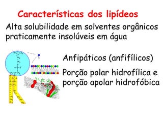 Alta solubilidade em solventes orgânicos
praticamente insolúveis em água
Anfipáticos (anfifílicos)
Porção polar hidrofílica e
porção apolar hidrofóbica
Características dos lipídeos
 