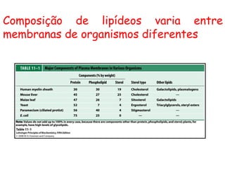 Composição de lipídeos varia entre
membranas de organismos diferentes
 