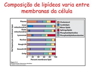 Composição de lipídeos varia entre
membranas da célula
 