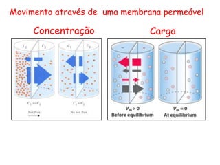 Movimento através de uma membrana permeável
Concentração Carga
 