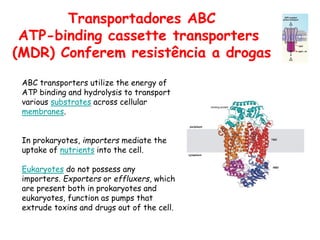 Transportadores ABC
ATP-binding cassette transporters
(MDR) Conferem resistência a drogas
ABC transporters utilize the energy of
ATP binding and hydrolysis to transport
various substrates across cellular
membranes.
In prokaryotes, importers mediate the
uptake of nutrients into the cell.
Eukaryotes do not possess any
importers. Exporters or effluxers, which
are present both in prokaryotes and
eukaryotes, function as pumps that
extrude toxins and drugs out of the cell.
 