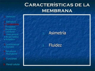 Características de la membrana Asimetría Fluidez 