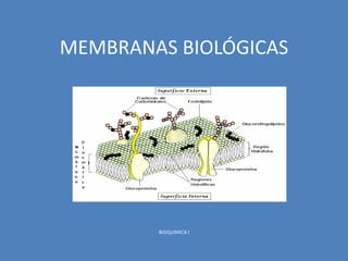 MEMBRANAS BIOLÓGICAS




        BIOQUIMICA I
 