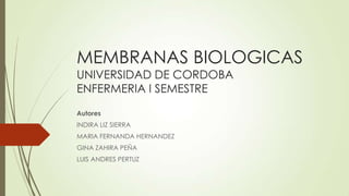 MEMBRANAS BIOLOGICAS
UNIVERSIDAD DE CORDOBA
ENFERMERIA I SEMESTRE
Autores
INDIRA LIZ SIERRA
MARIA FERNANDA HERNANDEZ
GINA ZAHIRA PEÑA
LUIS ANDRES PERTUZ
 