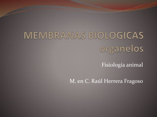 Fisiología animal
M. en C. Raúl Herrera Fragoso
 