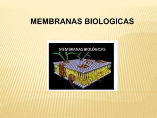 MEMBRANAS BIOLOGICAS
 