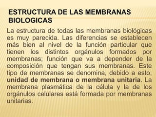 La estructura de todas las membranas biológicas
es muy parecida. Las diferencias se establecen
más bien al nivel de la función particular que
tienen los distintos orgánulos formados por
membranas; función que va a depender de la
composición que tengan sus membranas. Este
tipo de membranas se denomina, debido a esto,
unidad de membrana o membrana unitaria. La
membrana plasmática de la célula y la de los
orgánulos celulares está formada por membranas
unitarias.
ESTRUCTURA DE LAS MEMBRANAS
BIOLOGICAS
 