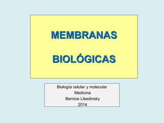 MEMBRANAS BIOLÓGICAS 
Biología celular y molecular 
Medicina 
Bernice Libedinsky 
2014  