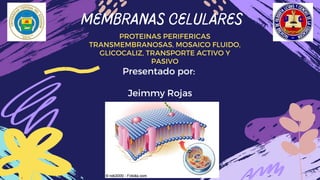 Presentado por:
Jeimmy Rojas
MEMBRANAS CELULARES
PROTEINAS PERIFERICAS
TRANSMEMBRANOSAS, MOSAICO FLUIDO,
GLICOCALIZ, TRANSPORTE ACTIVO Y
PASIVO
 