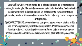 MEMBRANAS CELULARES.pdf