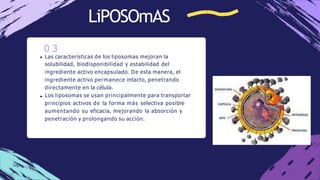 LiPOSOmAS
0 3
Las características de los liposomas mejoran la
solubilidad, biodisponibilidad y estabilidad del
ingrediente...
