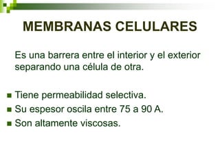 MEMBRANAS CELULARES
Es una barrera entre el interior y el exterior
separando una célula de otra.
 Tiene permeabilidad selectiva.
 Su espesor oscila entre 75 a 90 A.
 Son altamente viscosas.
 