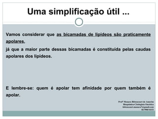 Uma simplificação útil ...
Vamos considerar que as bicamadas de lipídeos são praticamente
apolares,
já que a maior parte dessas bicamadas é constituída pelas caudas
apolares dos lipídeos.
E lembre-se: quem é apolar tem afinidade por quem também é
apolar.
Profª Monara Bittencourt de Amorim
Bioquímica-Citologista Oncótica
bittencourt.monara7@gmail.com
84 9985 8153
 
