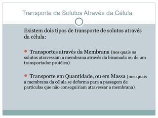 Transporte de Solutos Através da Célula
Existem dois tipos de transporte de solutos através
da célula:
 Transportes através da Membrana (nos quais os
solutos atravessam a membrana através da bicamada ou de um
transportador protéico)
 Transporte em Quantidade, ou em Massa (nos quais
a membrana da célula se deforma para a passagem de
partículas que não conseguiriam atravessar a membrana)
 