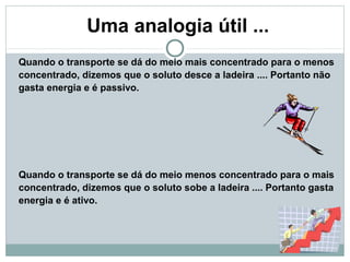 Uma analogia útil ...
Quando o transporte se dá do meio mais concentrado para o menos
concentrado, dizemos que o soluto desce a ladeira .... Portanto não
gasta energia e é passivo.
Quando o transporte se dá do meio menos concentrado para o mais
concentrado, dizemos que o soluto sobe a ladeira .... Portanto gasta
energia e é ativo.
 