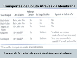Transportes de Soluto Através da Membrana
A osmose não foi considerada por se tratar de transporte de solvente.
 