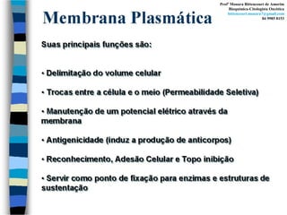 Profª Monara Bittencourt de Amorim
Bioquímica-Citologista Oncótica
bittencourt.monara7@gmail.com
84 9985 8153
 