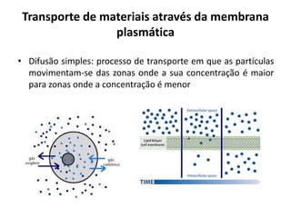 Transporte de materiais através da membrana 
plasmática 
• Difusão simples: processo de transporte em que as partículas 
movimentam-se das zonas onde a sua concentração é maior 
para zonas onde a concentração é menor 
 