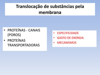 Translocação de substâncias pela 
membrana 
• PROTEÍNAS - CANAIS 
(POROS) 
• PROTEÍNAS 
TRANSPORTADORAS 
• ESPECIFICIDADE 
• GASTO DE ENERGIA 
• MECANISMOS 
 