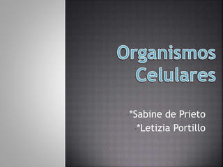 •*Sabine de Prieto
•*Letizia Portillo
 