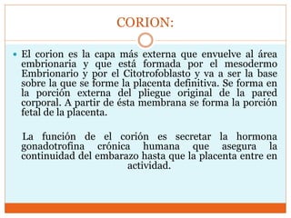 Membranas fetales | PPTX