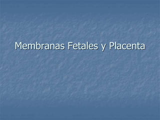 Membranas Fetales y Placenta
 