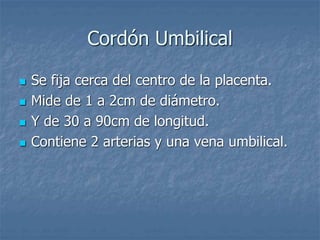 Cordón Umbilical
 Se fija cerca del centro de la placenta.
 Mide de 1 a 2cm de diámetro.
 Y de 30 a 90cm de longitud.
 Contiene 2 arterias y una vena umbilical.
 