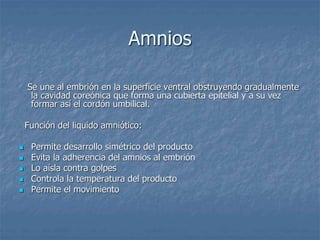 Amnios
Se une al embrión en la superficie ventral obstruyendo gradualmente
la cavidad coreónica que forma una cubierta epitelial y a su vez
formar así el cordón umbilical.
Función del liquido amniótico:
 Permite desarrollo simétrico del producto
 Evita la adherencia del amnios al embrión
 Lo aísla contra golpes
 Controla la temperatura del producto
 Permite el movimiento
 